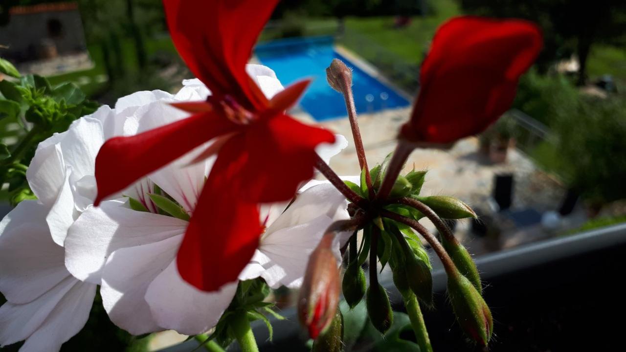 Pension Am Weinberg Bed & Breakfast Mainstockheim Eksteriør bilde