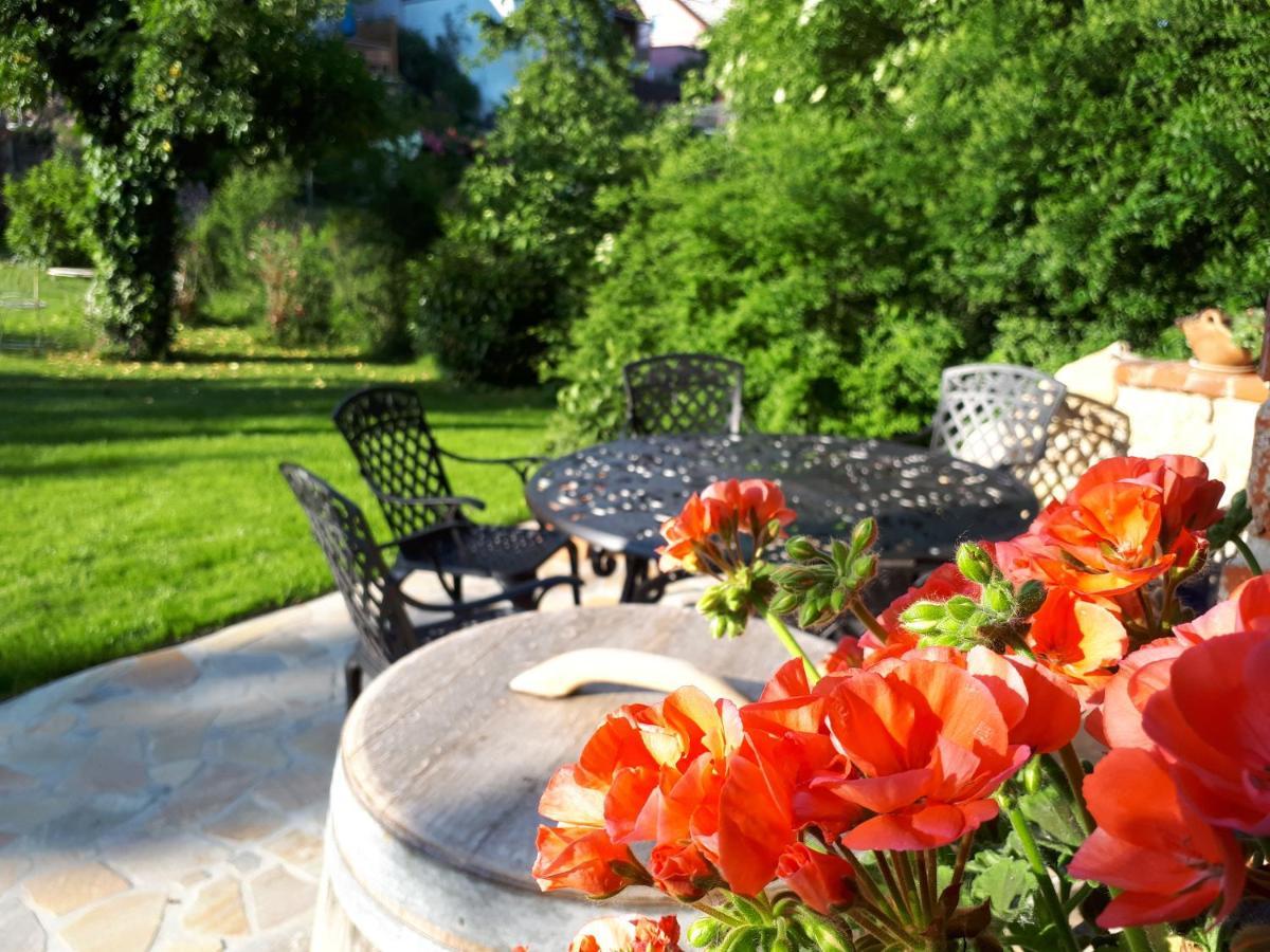Pension Am Weinberg Bed & Breakfast Mainstockheim Eksteriør bilde