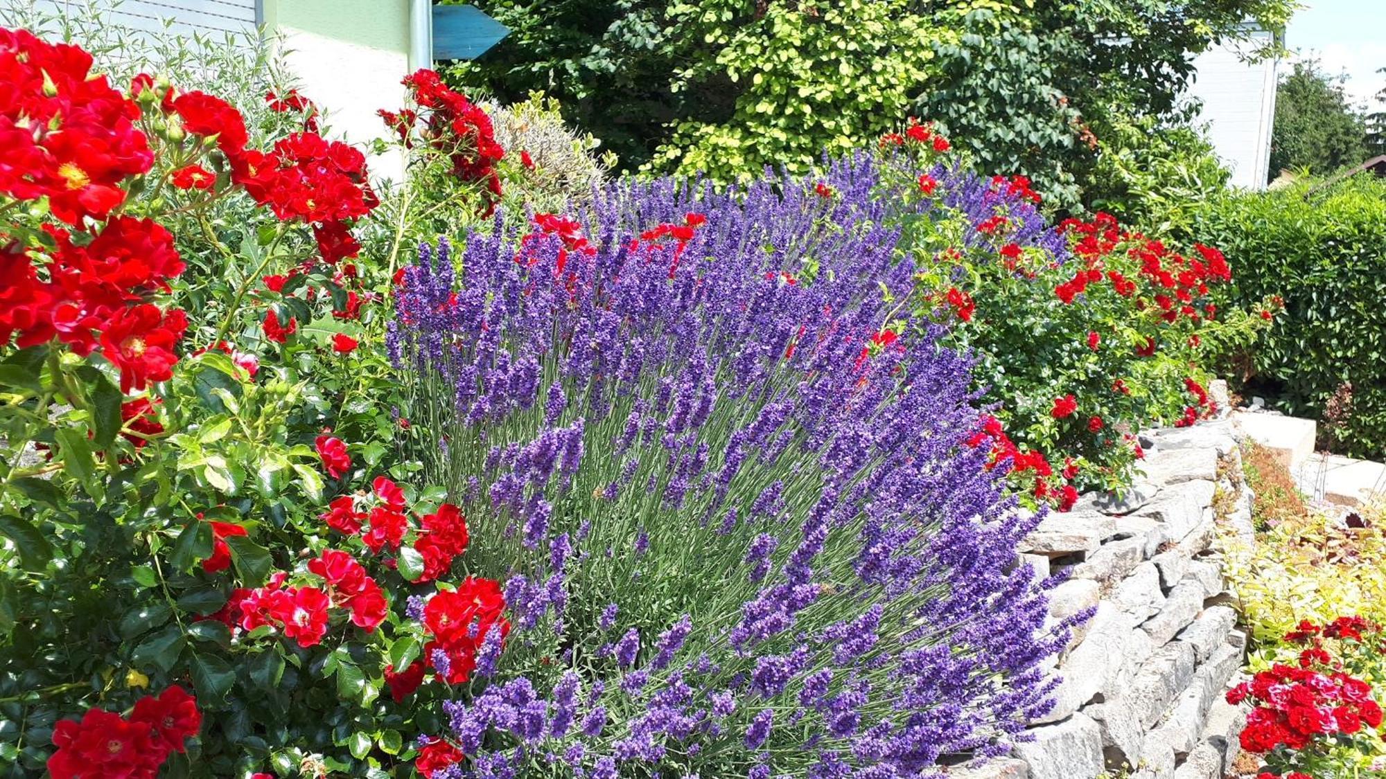 Pension Am Weinberg Bed & Breakfast Mainstockheim Eksteriør bilde